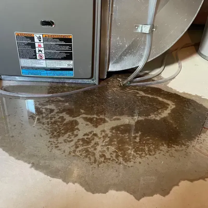 Appliance Leak Cleanup in Le Roy, IL